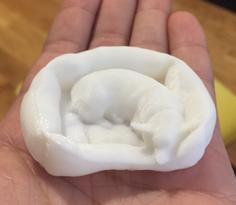 Sleeping Corgi In Bed 3D Printer Model