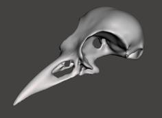 Crow Skull, Top Half 3D Printer Model