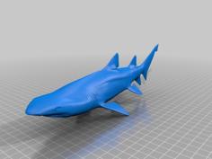 Grey Nurse Shark 3D Printer Model