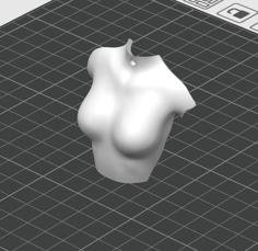 Female Torso Keychain 3D Printer Model