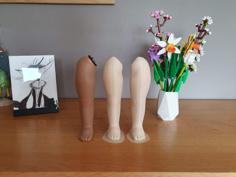 Doll’s Leg Reproduction – From Object To 3D Model 3D Printer Model