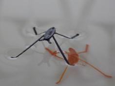 DIY Water Strider (Gerridae) 3D Printer Model