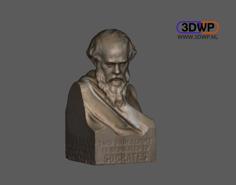 Socrates Bust (3D Scan) 3D Printer Model