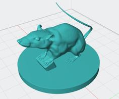 Rat Remix Without Whiskers And Added Base 3D Printer Model