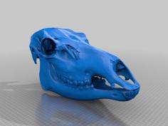 Elk Skull 3D Printer Model