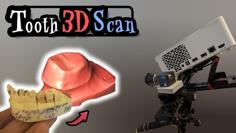 Tooth 3D Scan 3D Printer Model