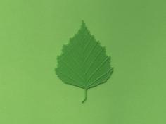 Birch Tree Leaf 3D Printer Model