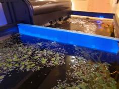 Floating Plant Aquarium Divider 3D Printer Model