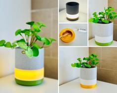 Illuminated Planter – Plant Pot/vase With Built-in LED Light 3D Printer Model