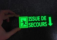 ISSUE DE SECOURS Phosphorescent 3D Printer Model