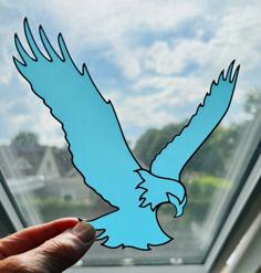 Translucent American Eagle 5 Models 3D Printer Model