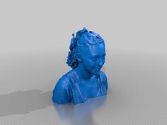 Sara K. 3D Printer Model