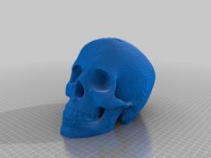 Skull Bank 3D Printer Model