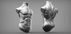 Male Torso 3D Printer Model