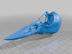 Raven Skull 3D Printer Model