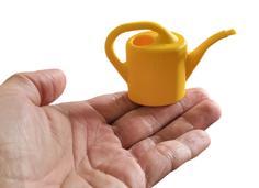 Mini Watering Can 3D Printer Model