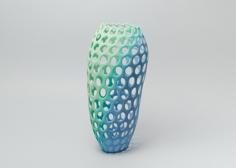 Radiozoa Vase 3D Printer Model