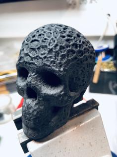 Organic Skull 3D Printer Model