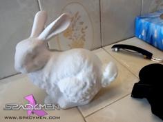 Stanford Bunny Cotton Dispenser 3D Printer Model