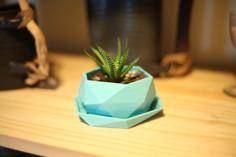 Low-Poly Mini Plant Pot 3D Printer Model