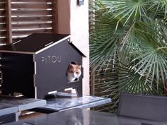 Laser Cut House For Pitou The Cat