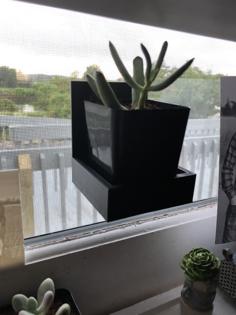 Succulent Of The Month Plant Window Mount 3D Printer Model