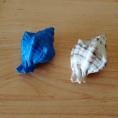 Seashell 3D Printer Model