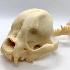 THE FRENCHIE SKULL WITH WOOD PLA 3D Printer Model