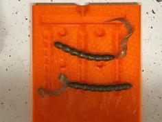 Fishing Worm Mold 3D Printer Model