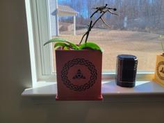 Celtic Orchid Pot 3D Printer Model