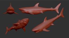 Great White Shark 3D Printer Model