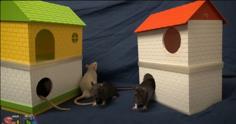 Rat House 3D Printer Model