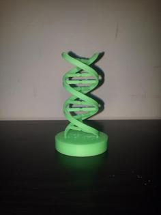 DNA Helix 3D Printer Model