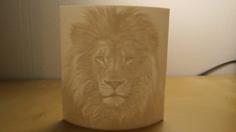 Lion Litophane 3D Printer Model