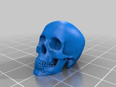 Skull Knob 3D Printer Model