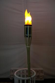 LED Flame For Oil Torch 3D Printer Model