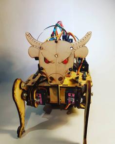 Laser Cut ToroBot