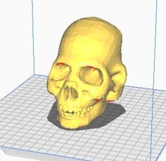 Monkey Skull 3D Printer Model