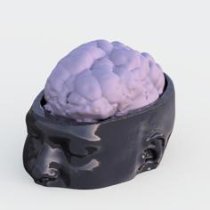 Simon’s Brain 3D Printer Model