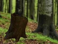 Tree Stump 3D Printer Model