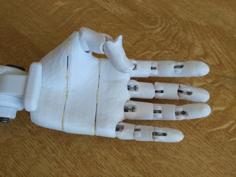 Articulated Hand Remix 3D Printer Model