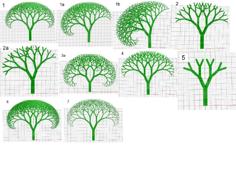 Fractal Tree 5.16.2024 3D Printer Model