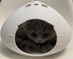 Cat House 3D Printer Model