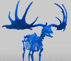 Giant Deer (Skeleton) By Natural History Museum Of Vienna 3D Printer Model