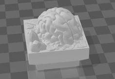 Basic Cavern Hive Brain (Dungeon Blocks Compatible) 3D Printer Model