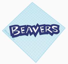 Beavers Logo 3D Printer Model