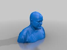 Steve Loughran 3D Printer Model