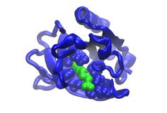 Beta-lactoglobulin 3D Printer Model