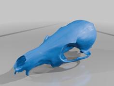 Lycalopex Fulvipes 3D Printer Model