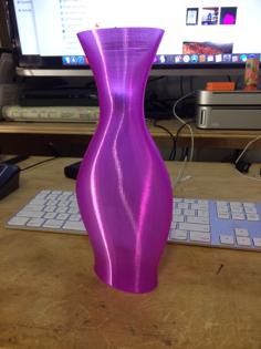 Twisted Ellipse #2 3D Printer Model